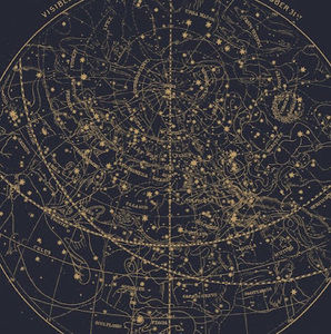 Meet your Posher, Ella